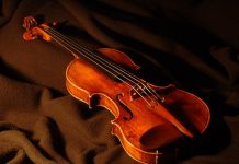 バイオリンという楽器を選ぶということ 連載:ウィーンのオーケストラではたらくということ OP.16